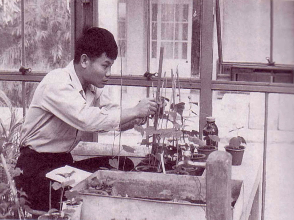 Tiến sĩ Teruo Higa