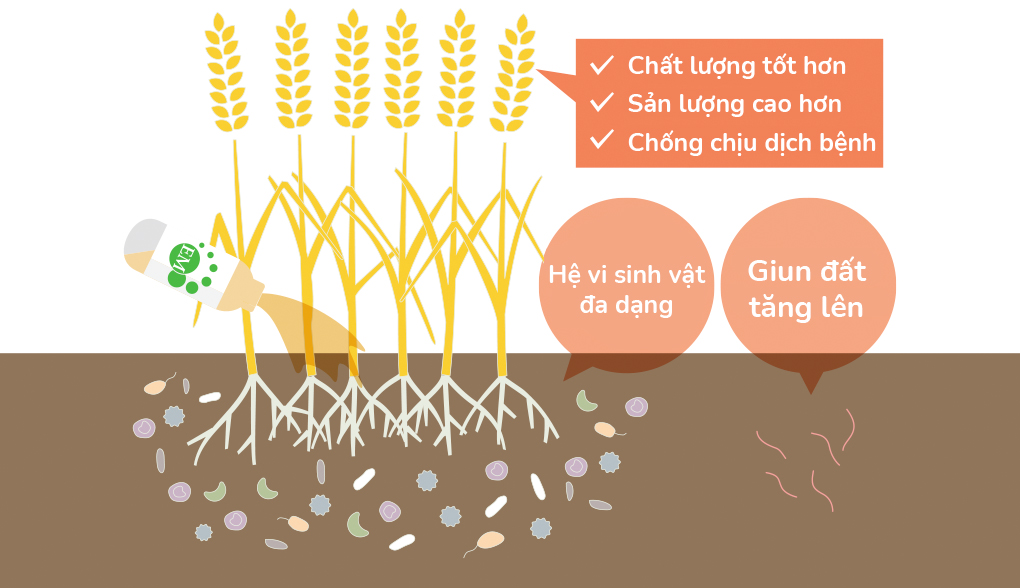 Em hoạt động như thế nào ?