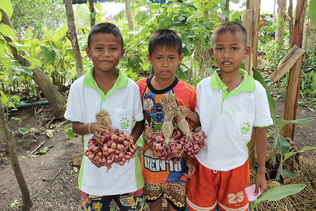 Ứng dụng EM tại Thái Lan