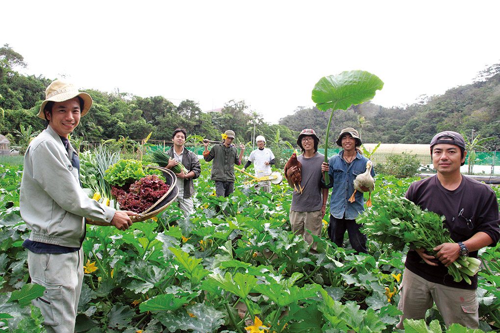 Ứng dụng EM trong trang trại