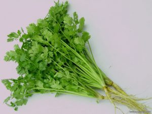 Cách trồng rau mùi tía